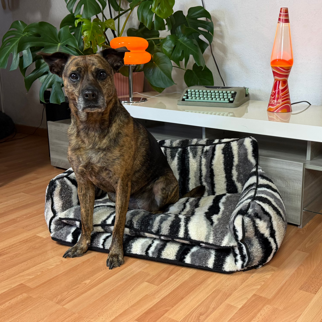 Canapé pour chien et chat zébré gris - Muzo