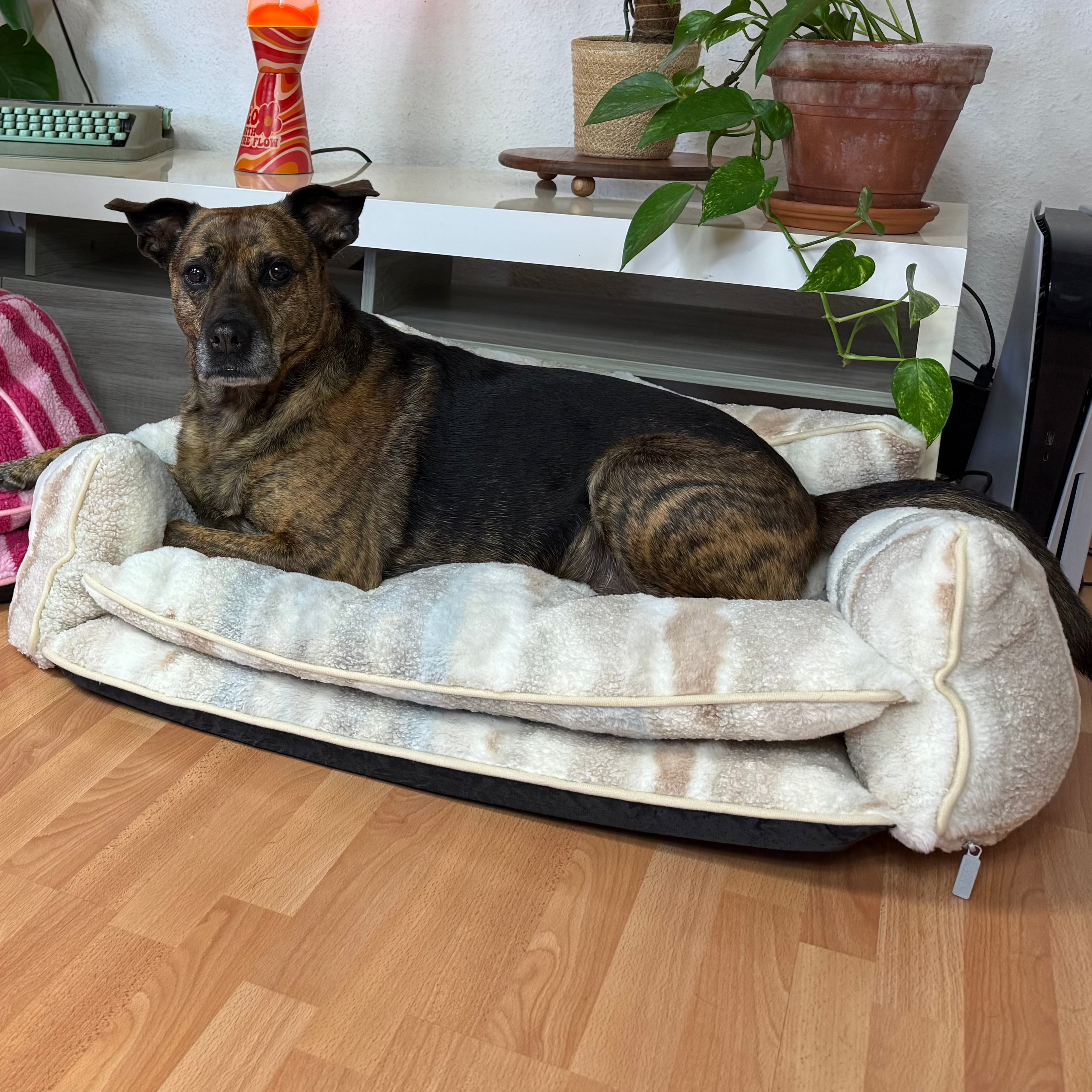 Canapé pour chien et chat zébré beige - Muzo